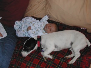 Cowboy & Benjamin 7 days old